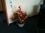 Weihnachtsbaum 2010