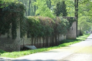 Sonne und Lindenblüten auf den Wegen ... toll!